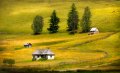 41 - Carpathian landscape 08 - NAGY LAJOS - romania